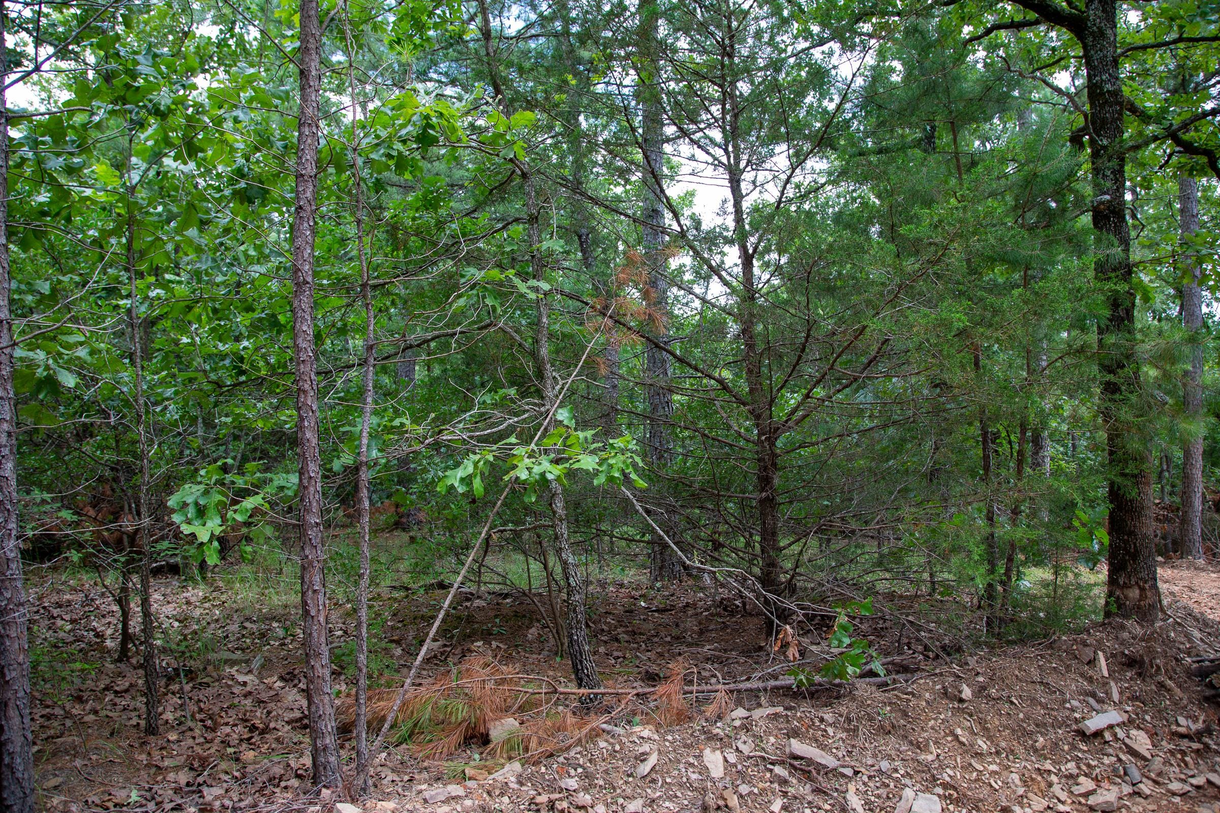 Tyler Stone Ranch Tract 50 photo 4