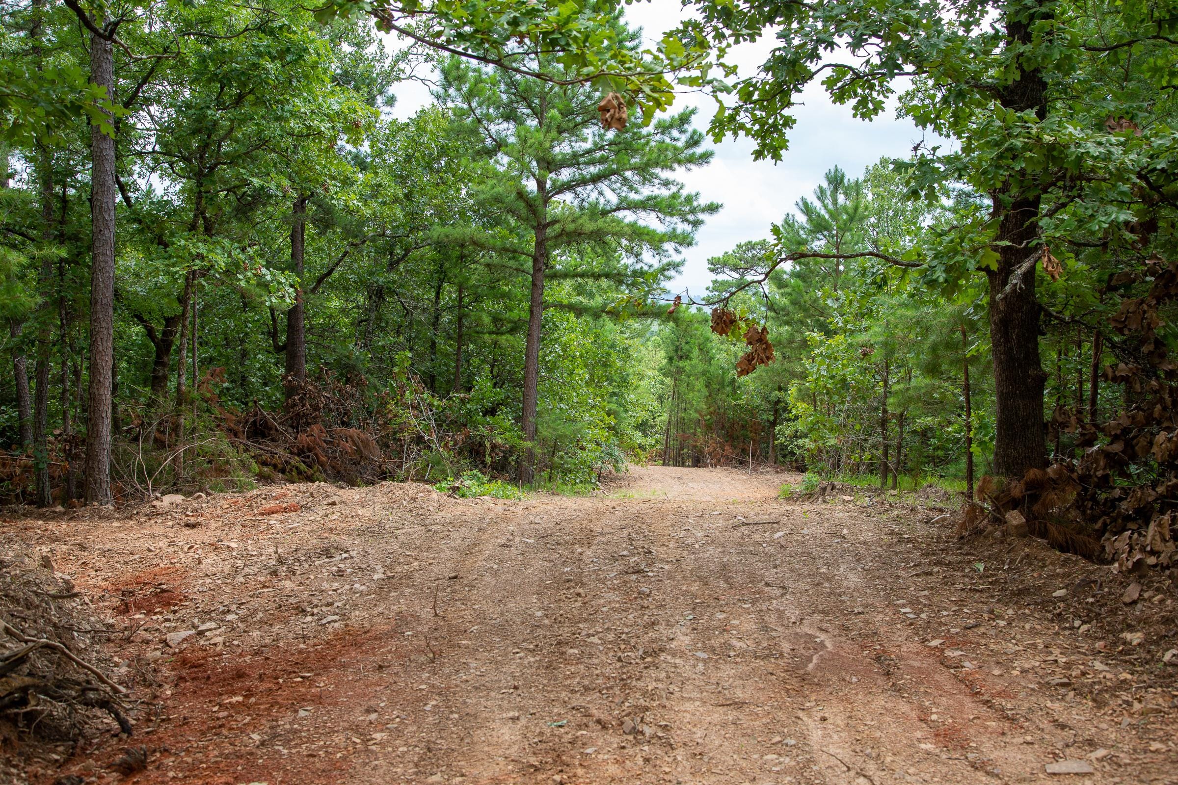 Tyler Stone Ranch Tract 50 photo 5