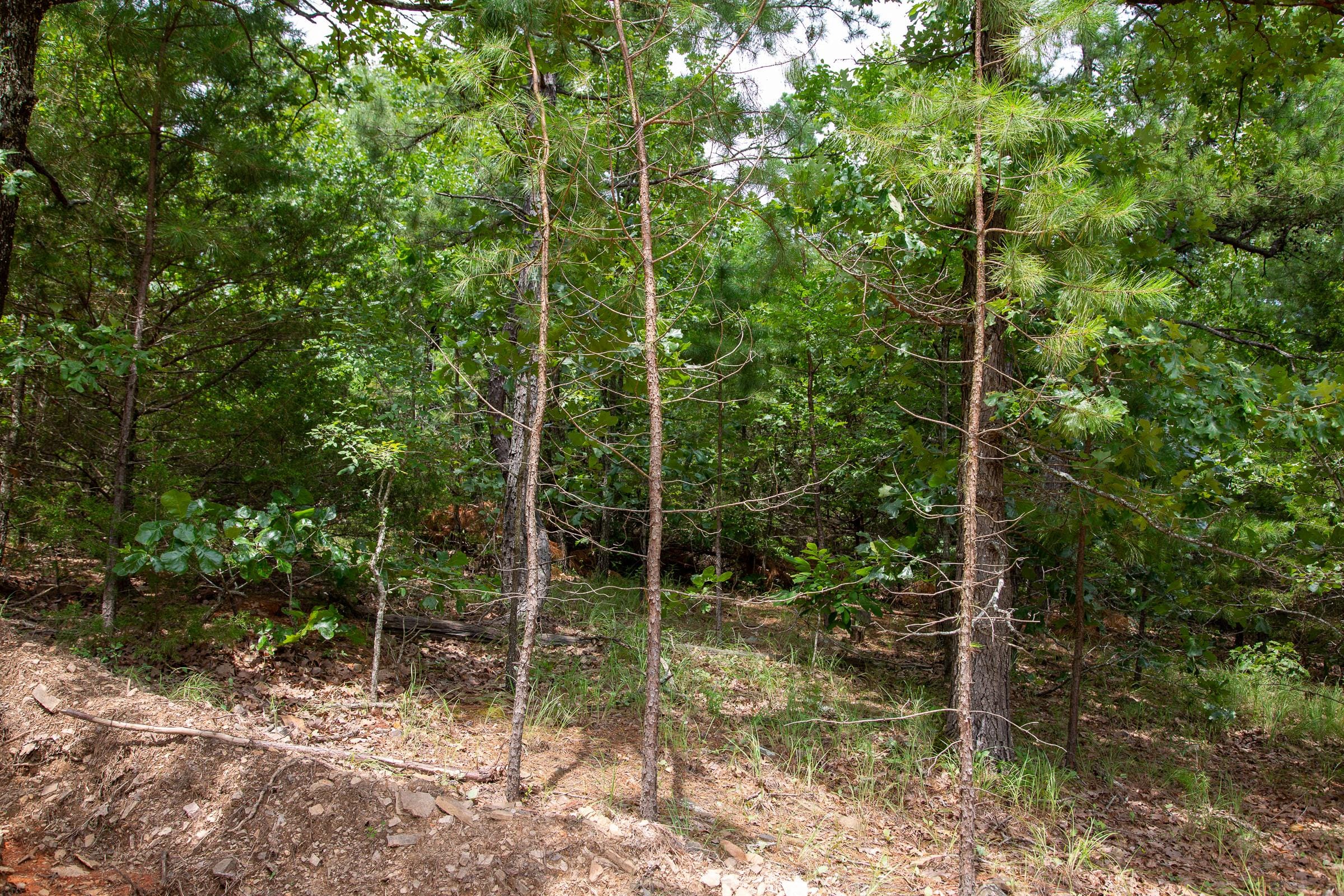 Tyler Stone Ranch Tract 50 photo 6