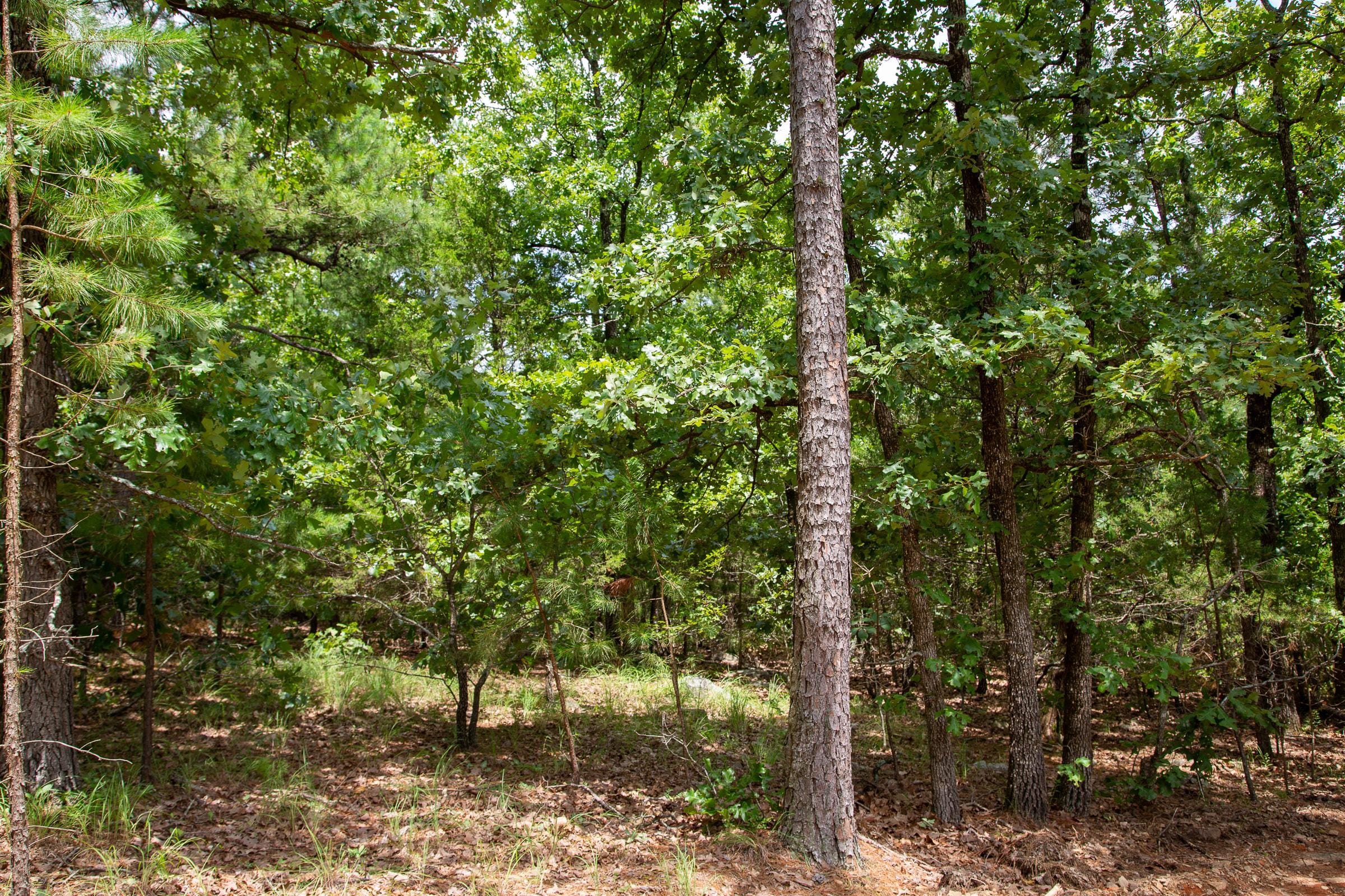 Tyler Stone Ranch Tract 50 photo 7