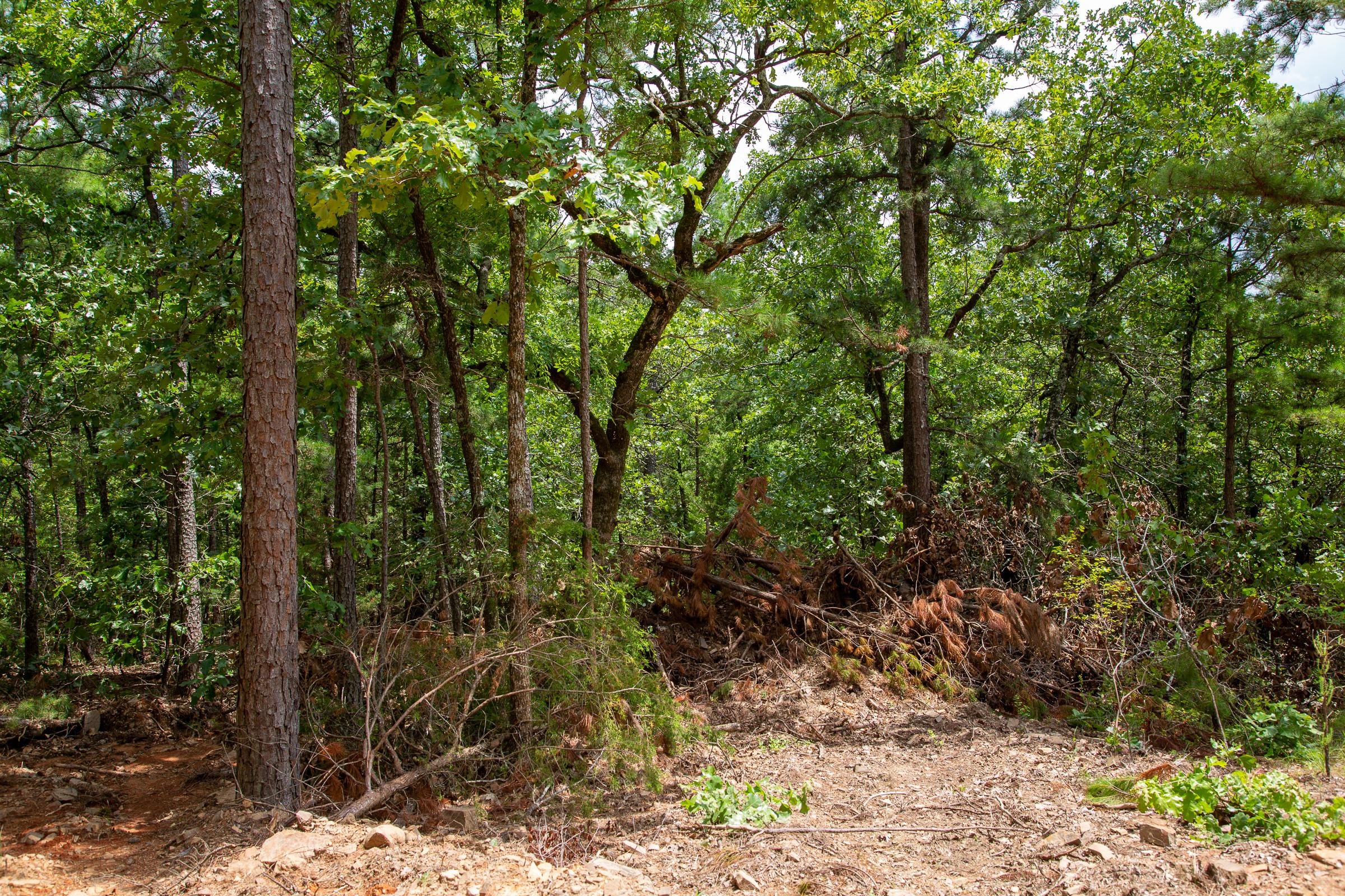 Tyler Stone Ranch Tract 50 photo 8