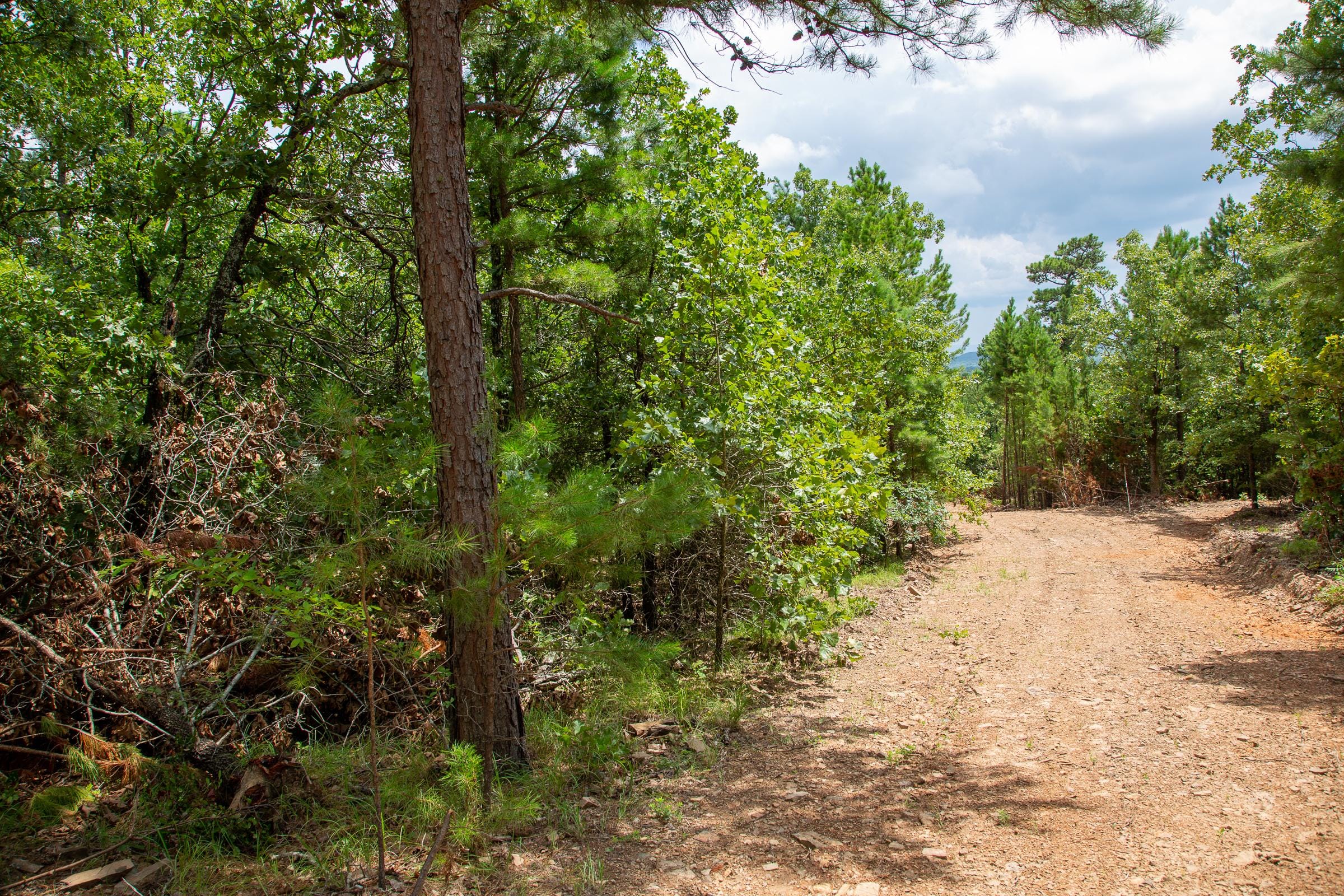 Tyler Stone Ranch Tract 50 photo 9