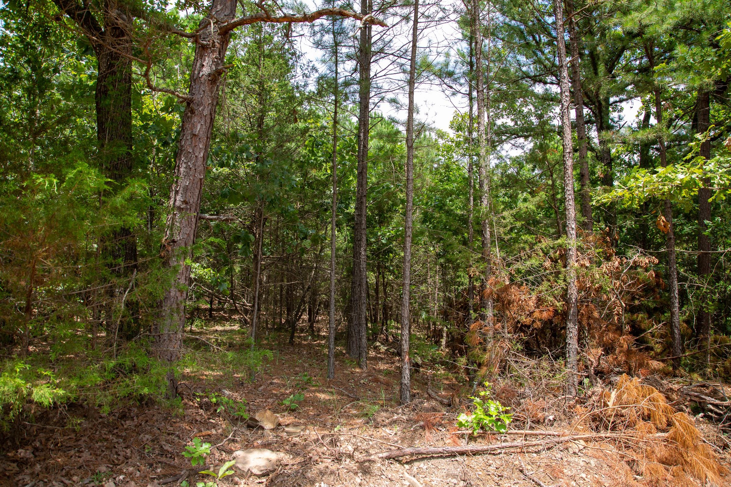 Tyler Stone Ranch Tract 50 photo 11