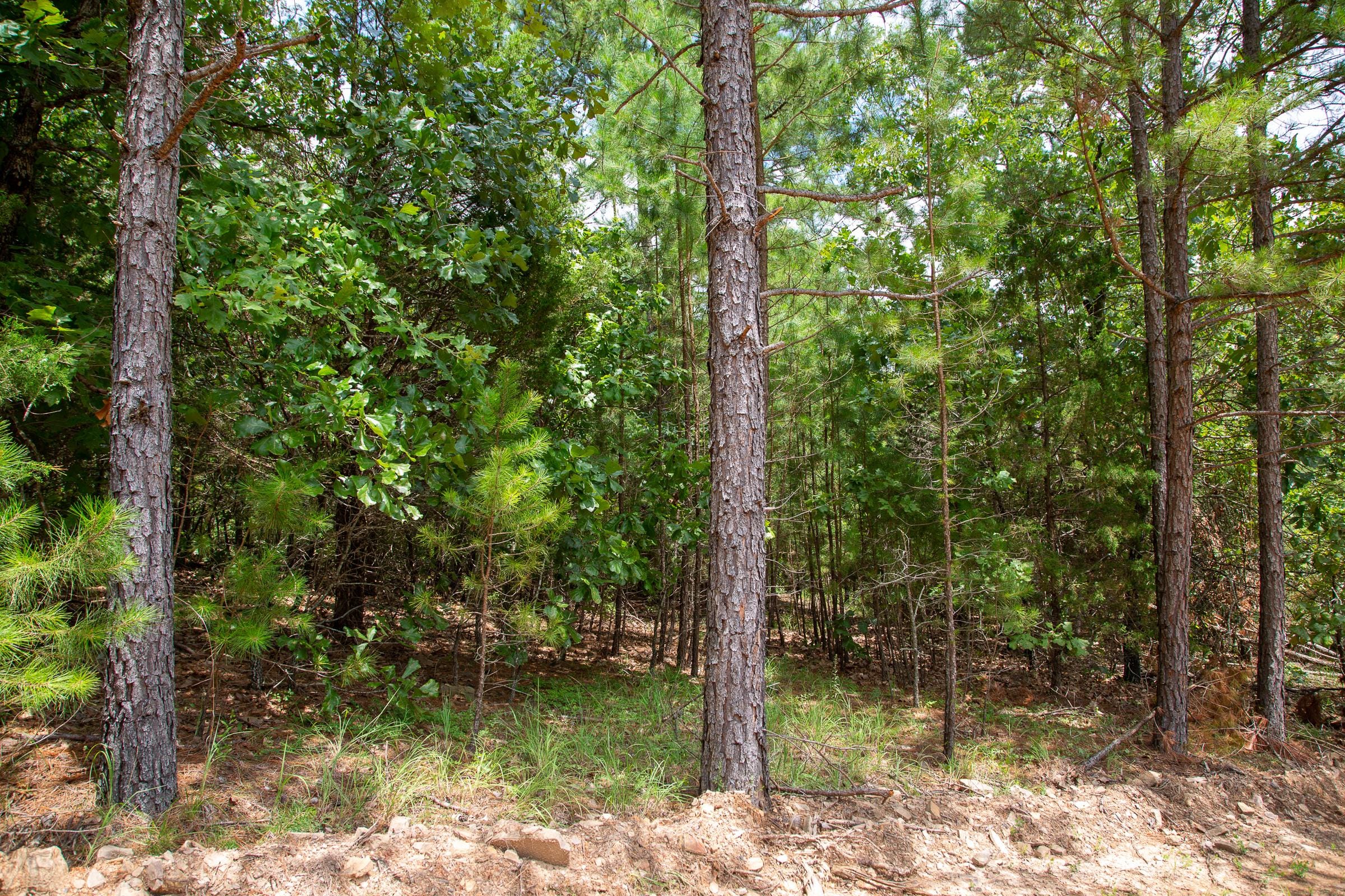 Tyler Stone Ranch Tract 50 photo 12