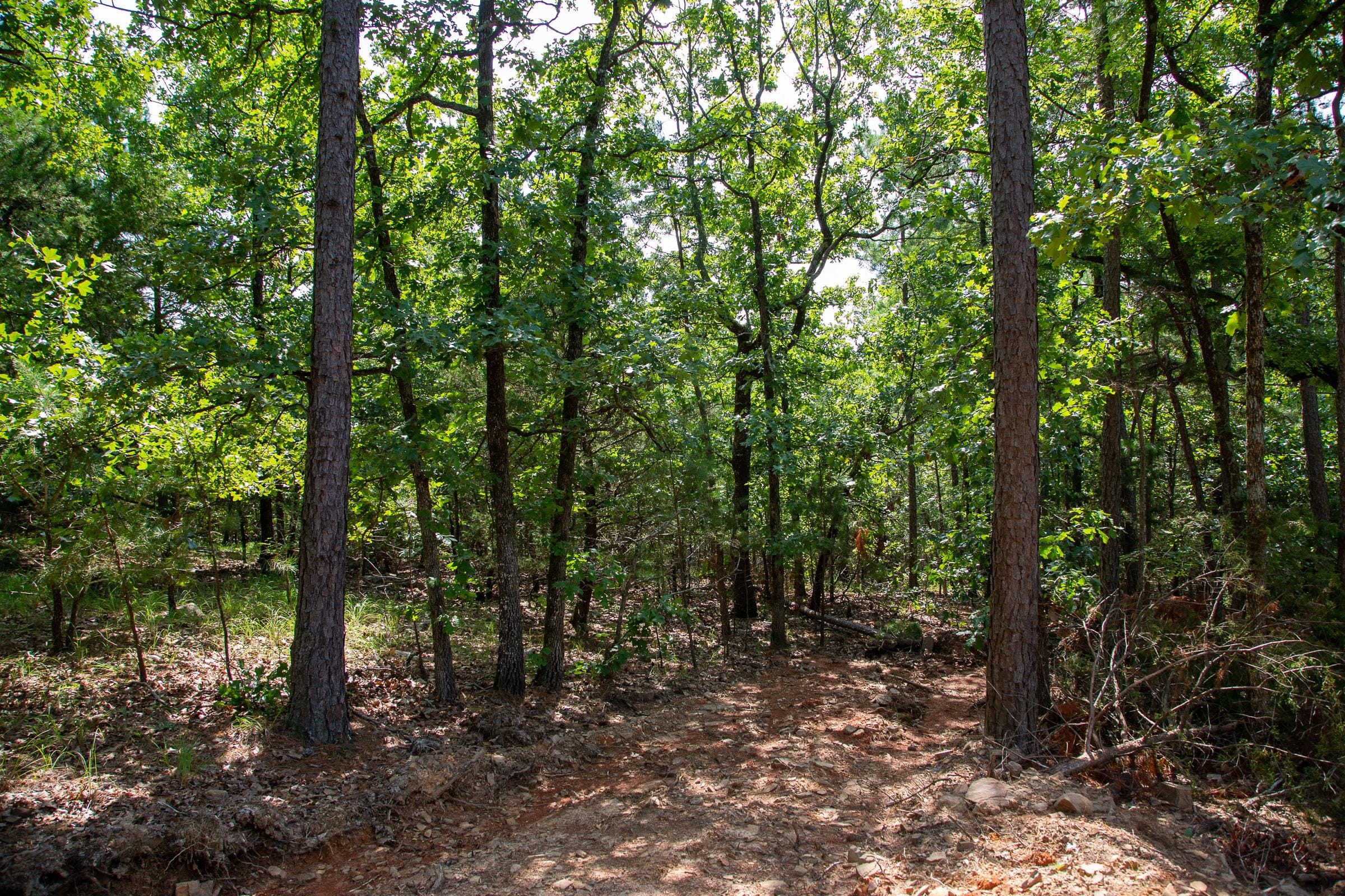 Tyler Stone Ranch Tract 50 photo 1