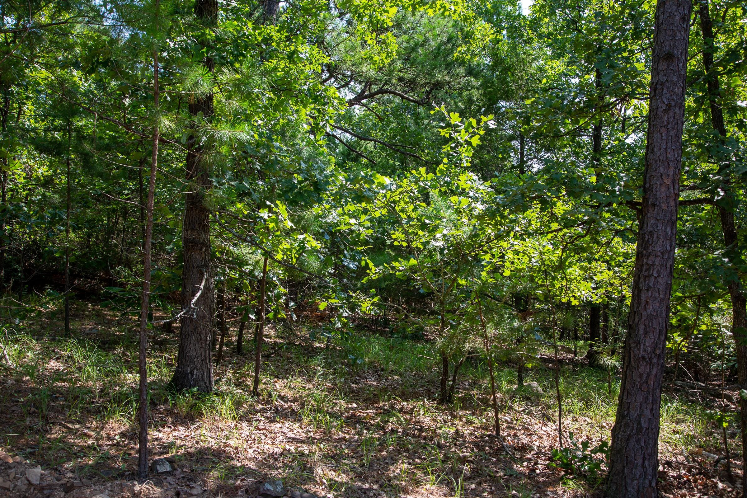 Tyler Stone Ranch Tract 50 photo 13
