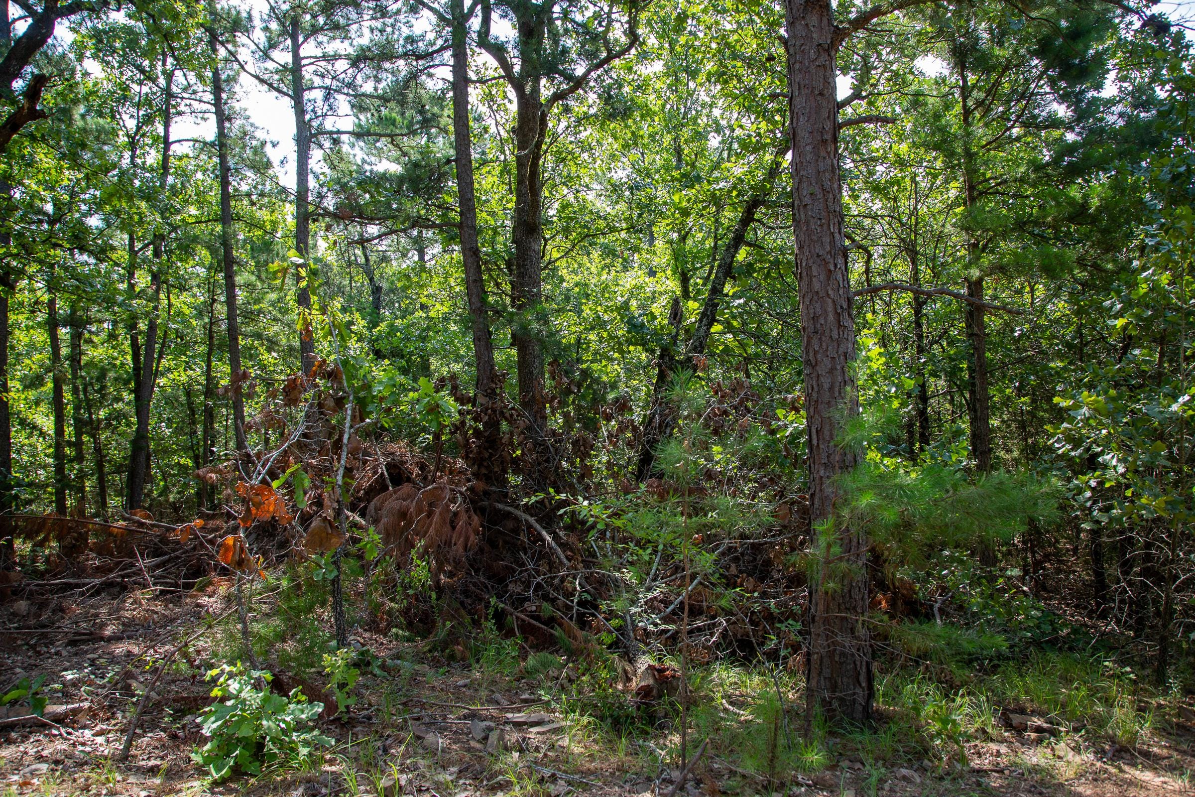 Tyler Stone Ranch Tract 50 photo 14