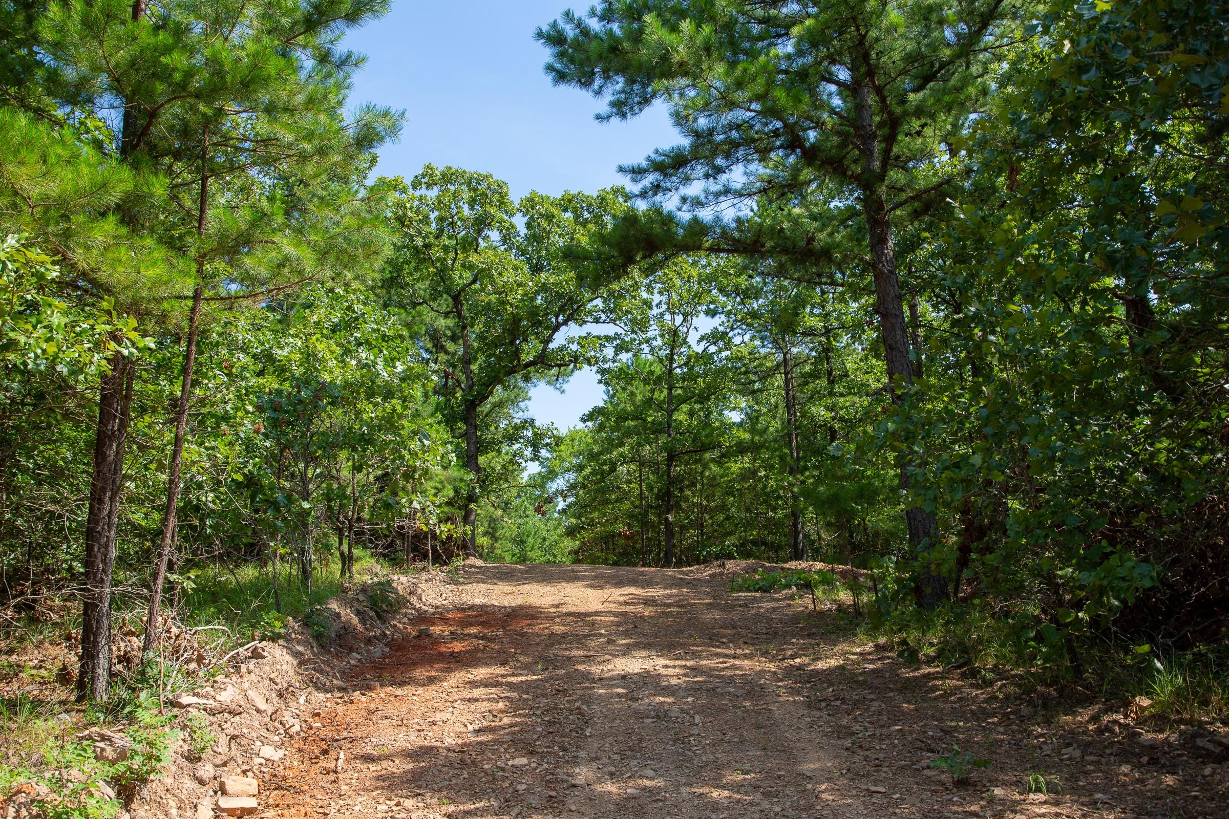 Tyler Stone Ranch Tract 50 photo 3
