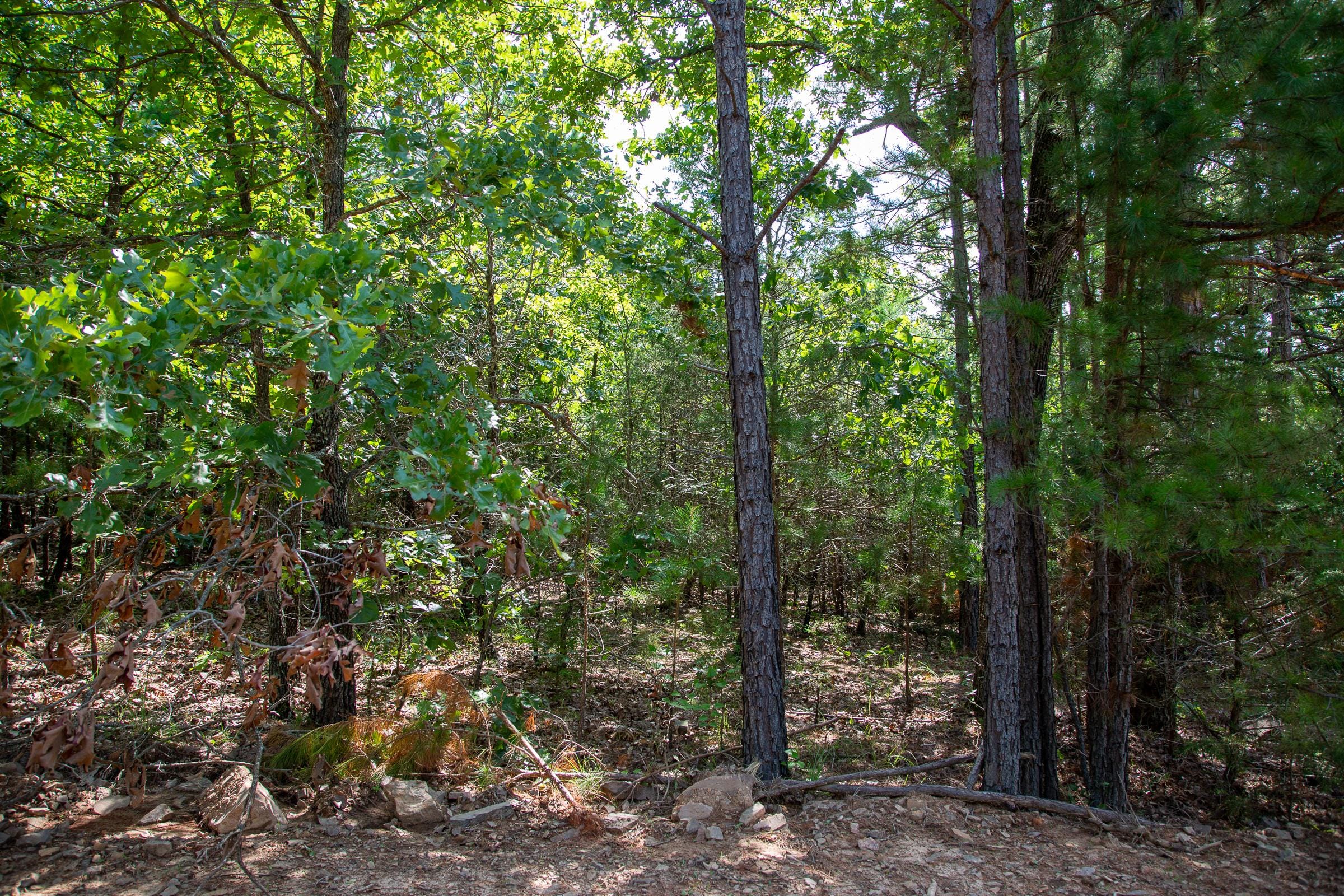 Tyler Stone Ranch Tract 50 photo 15