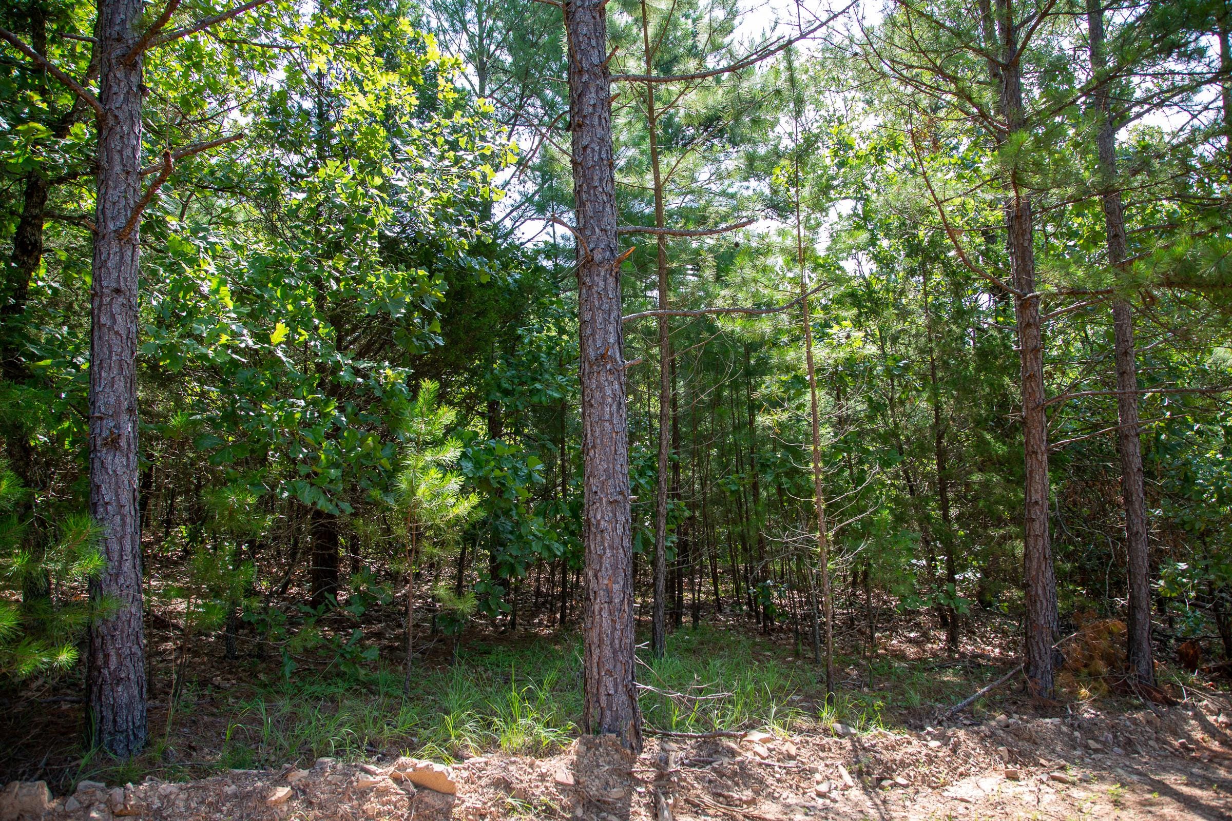 Tyler Stone Ranch Tract 50 photo 18