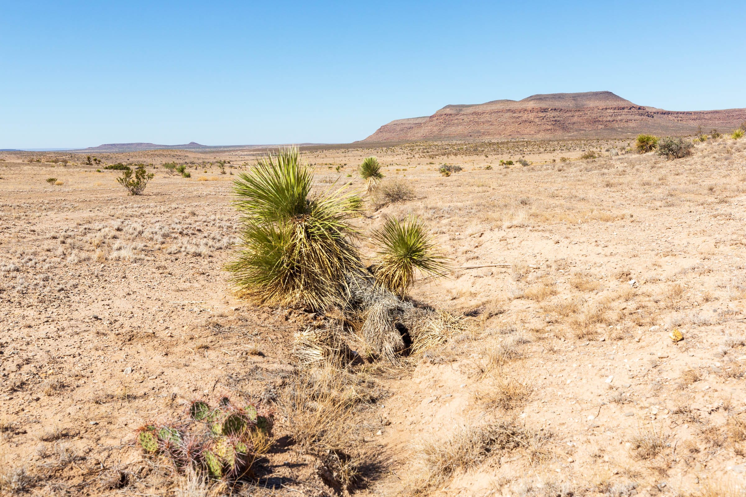 Sunrise Ranches Phase III Tract 117 photo 19
