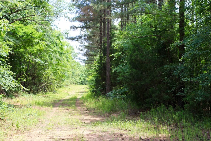 Bluebird Ranch Tract 19 photo 2