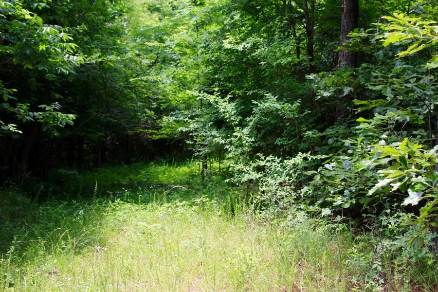 Bluebird Ranch Tract 19 photo 17