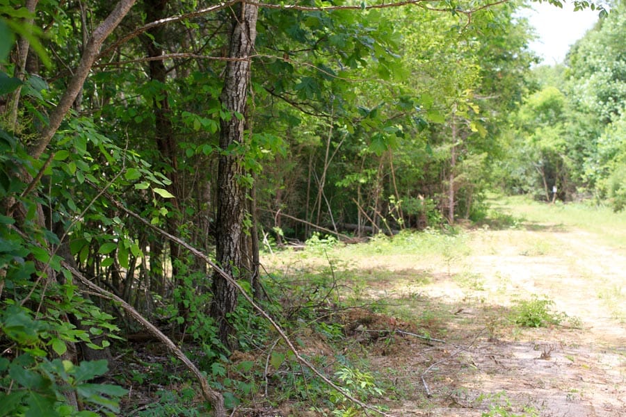 Bluebird Ranch Tract 19 photo 23