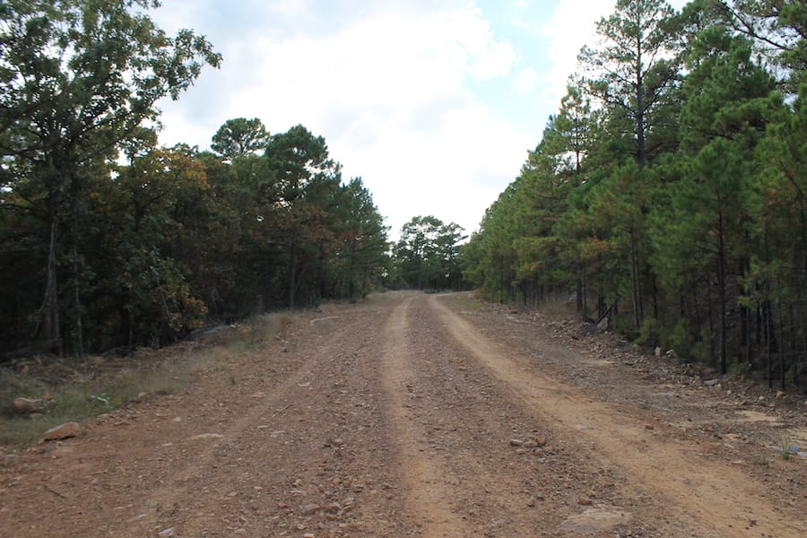 Indian Ridge – Phase III Tract 95 photo 2