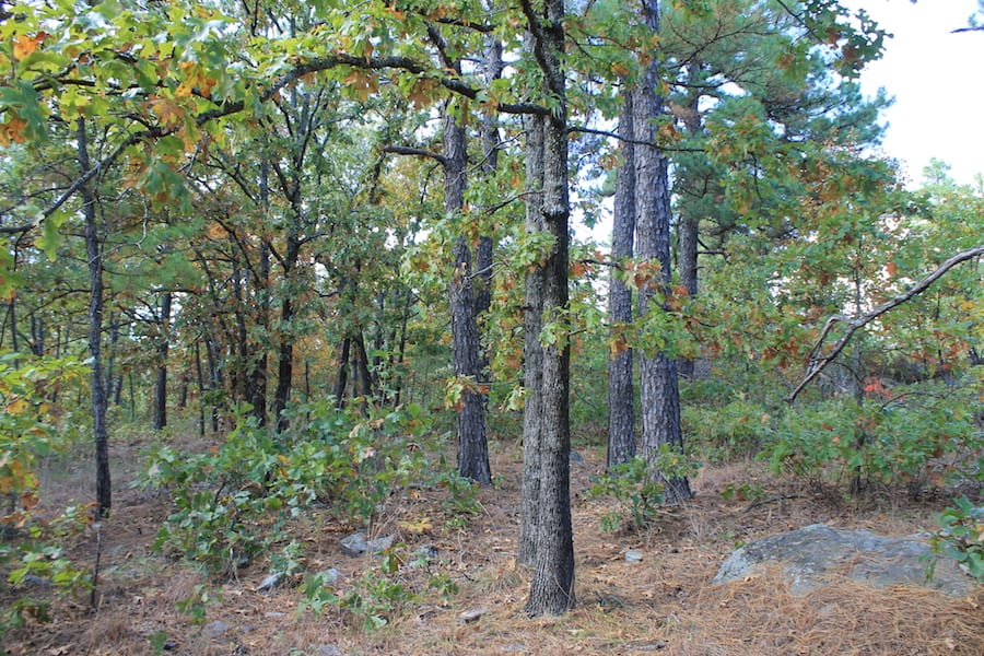Indian Ridge – Phase III Tract 95 photo 6