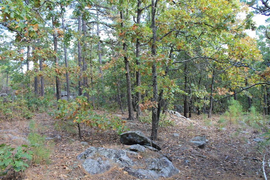 Indian Ridge – Phase III Tract 95 photo 8