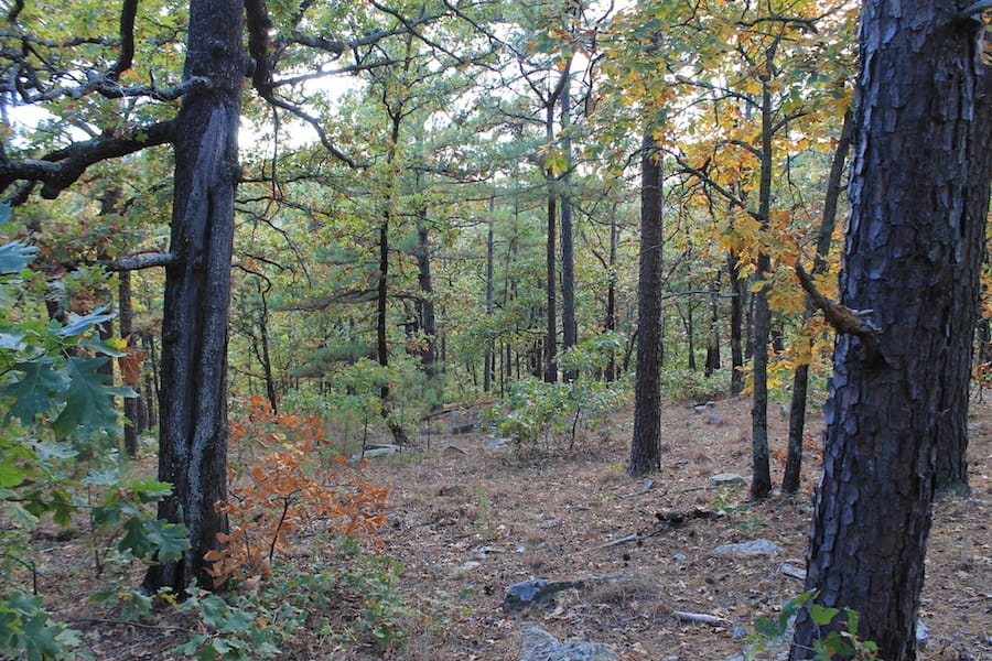 Indian Ridge – Phase III Tract 95 photo 10
