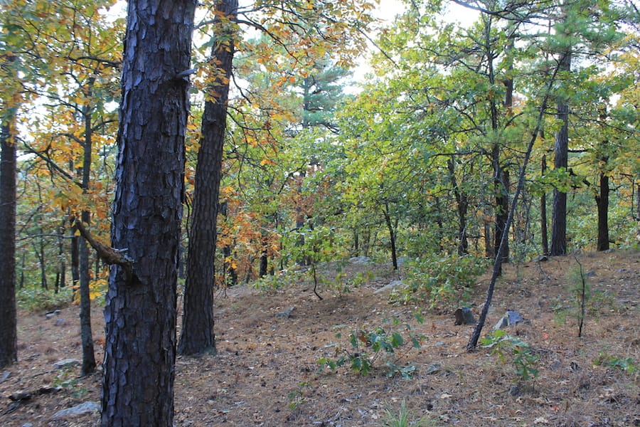 Indian Ridge – Phase III Tract 95 photo 11