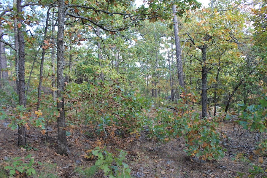Indian Ridge – Phase III Tract 95 photo 12
