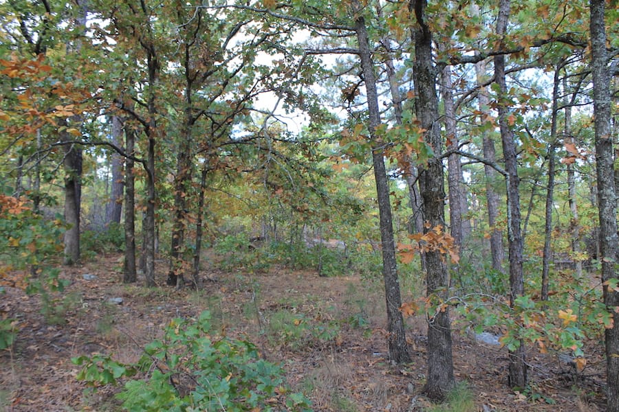 Indian Ridge – Phase III Tract 95 photo 13