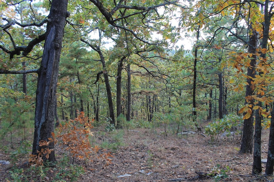 Indian Ridge – Phase III Tract 95 photo 14