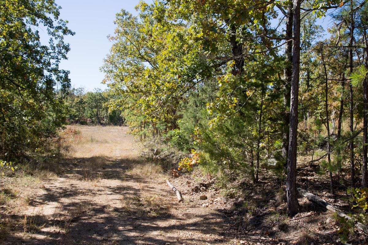 Stone Creek Phase I Tract 109 photo 6