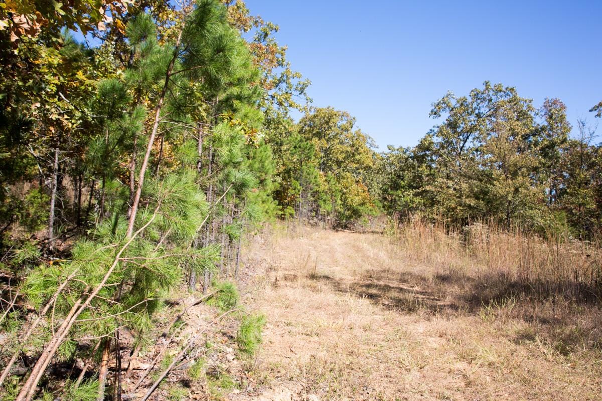 Stone Creek Phase I Tract 109 photo 1