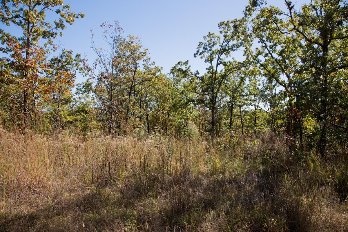Stone Creek Phase I Tract 109 photo 5