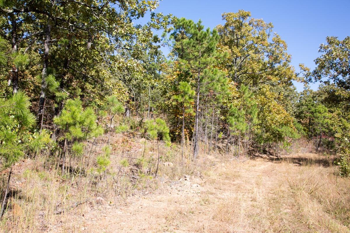 Stone Creek Phase I Tract 109 photo 4