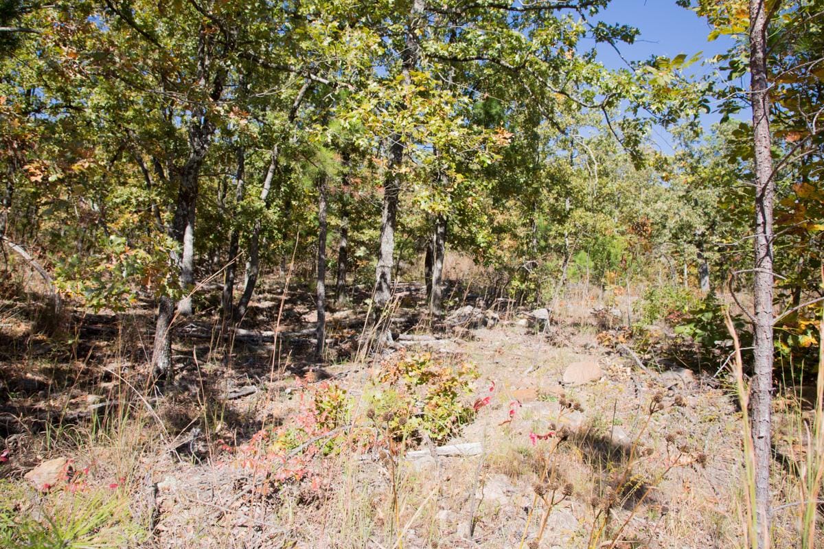 Stone Creek Phase I Tract 109 photo 8