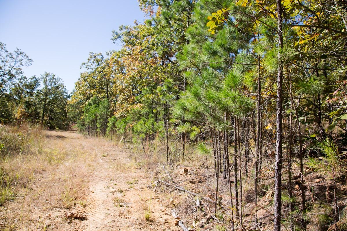 Stone Creek Phase I Tract 109 photo 9