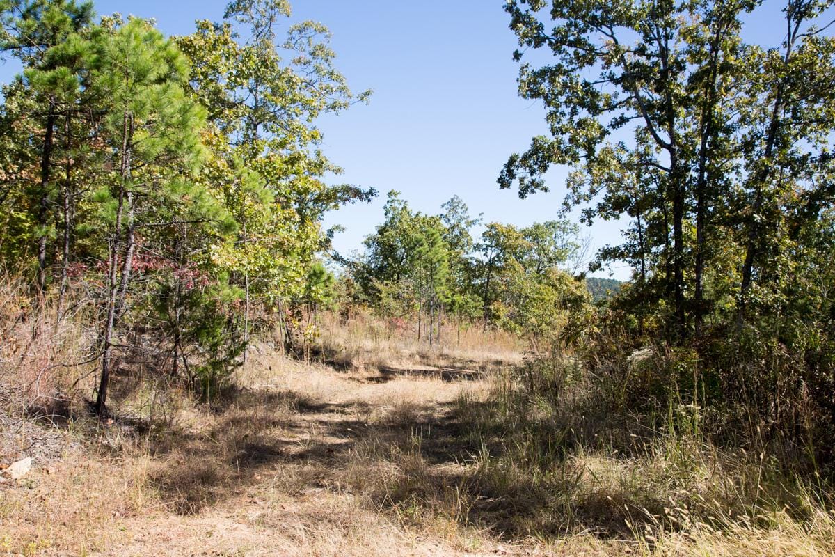 Stone Creek Phase I Tract 109 photo 11