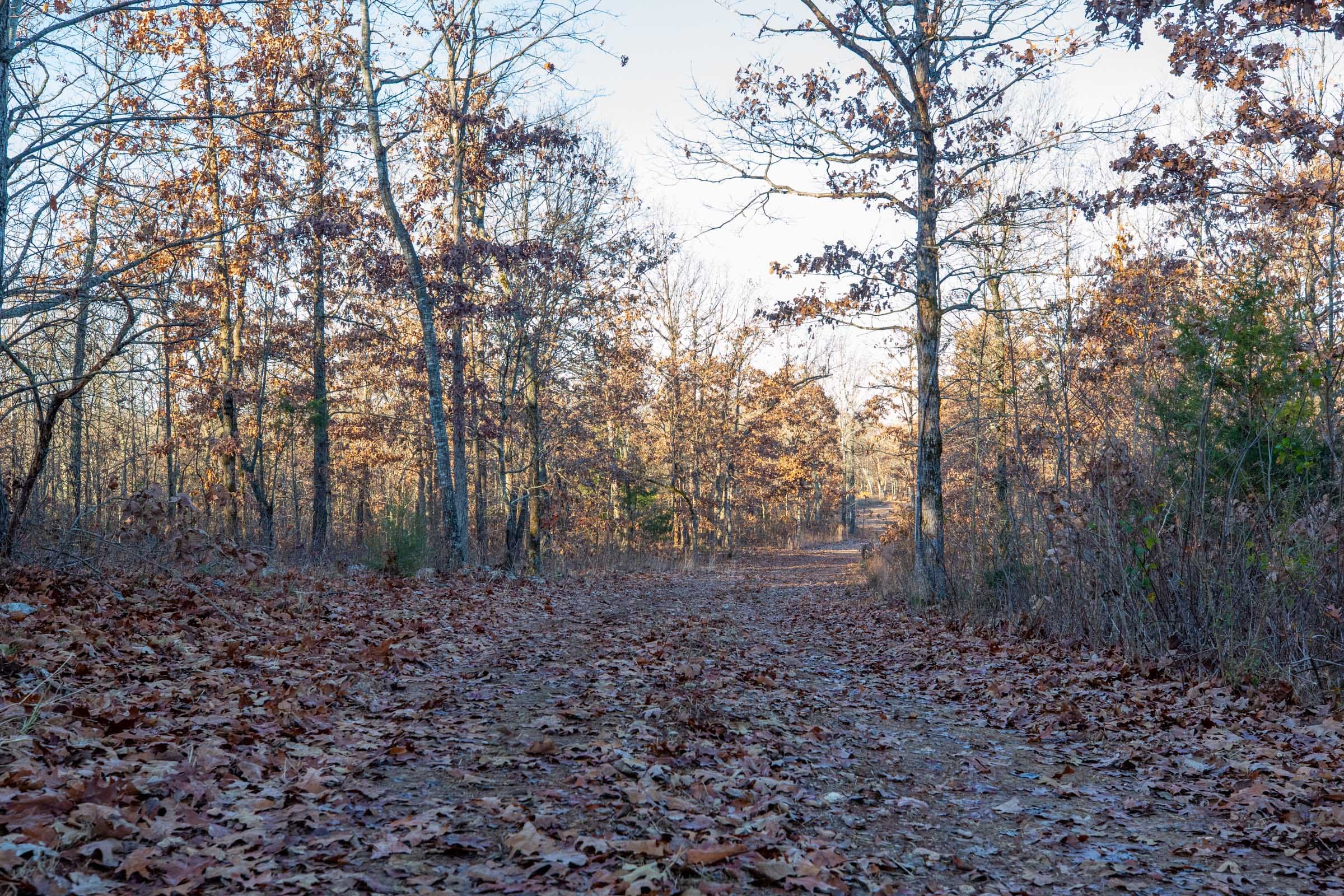 Dutchman Hollow Tract 4 photo 1