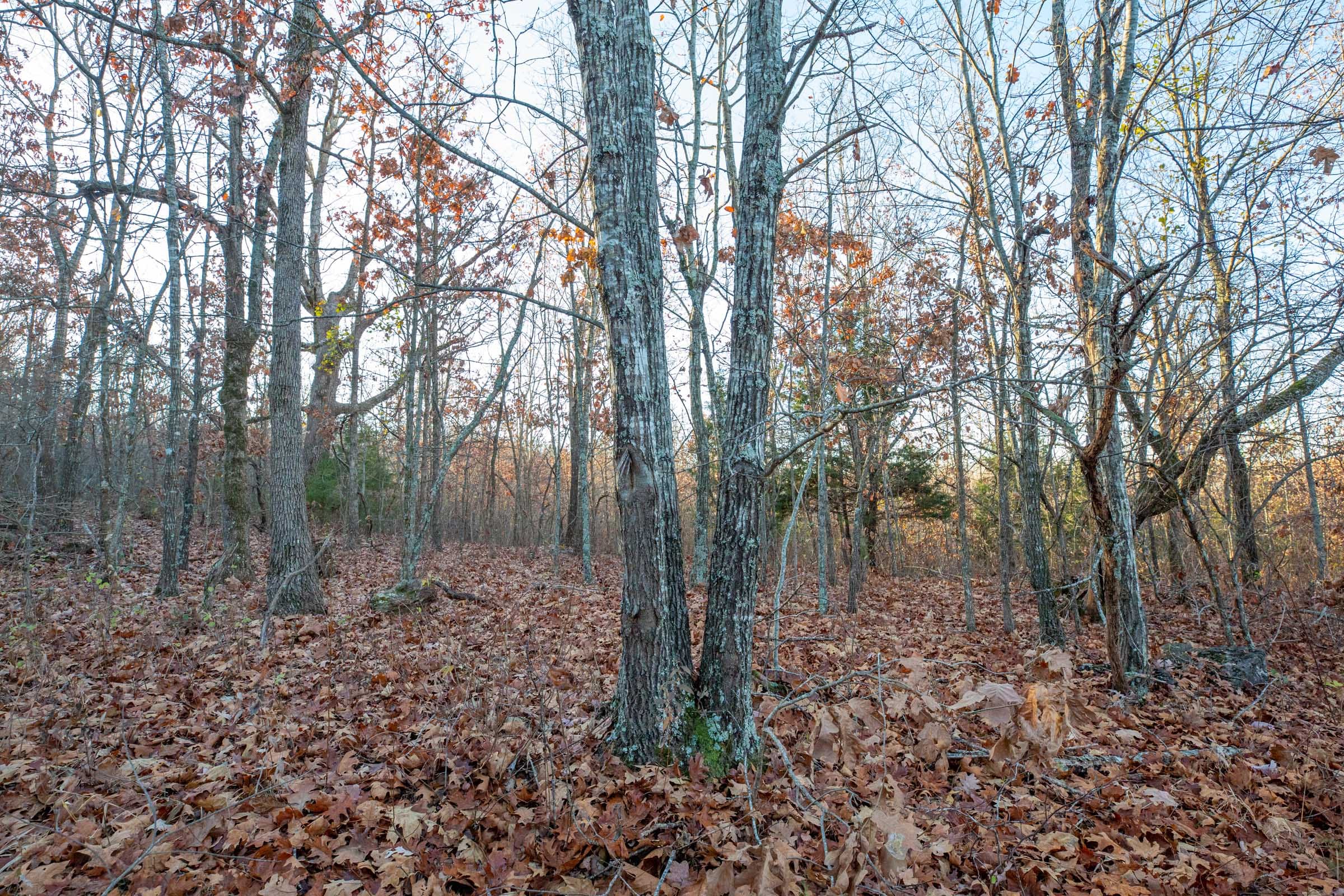 Dutchman Hollow Tract 4 photo 2