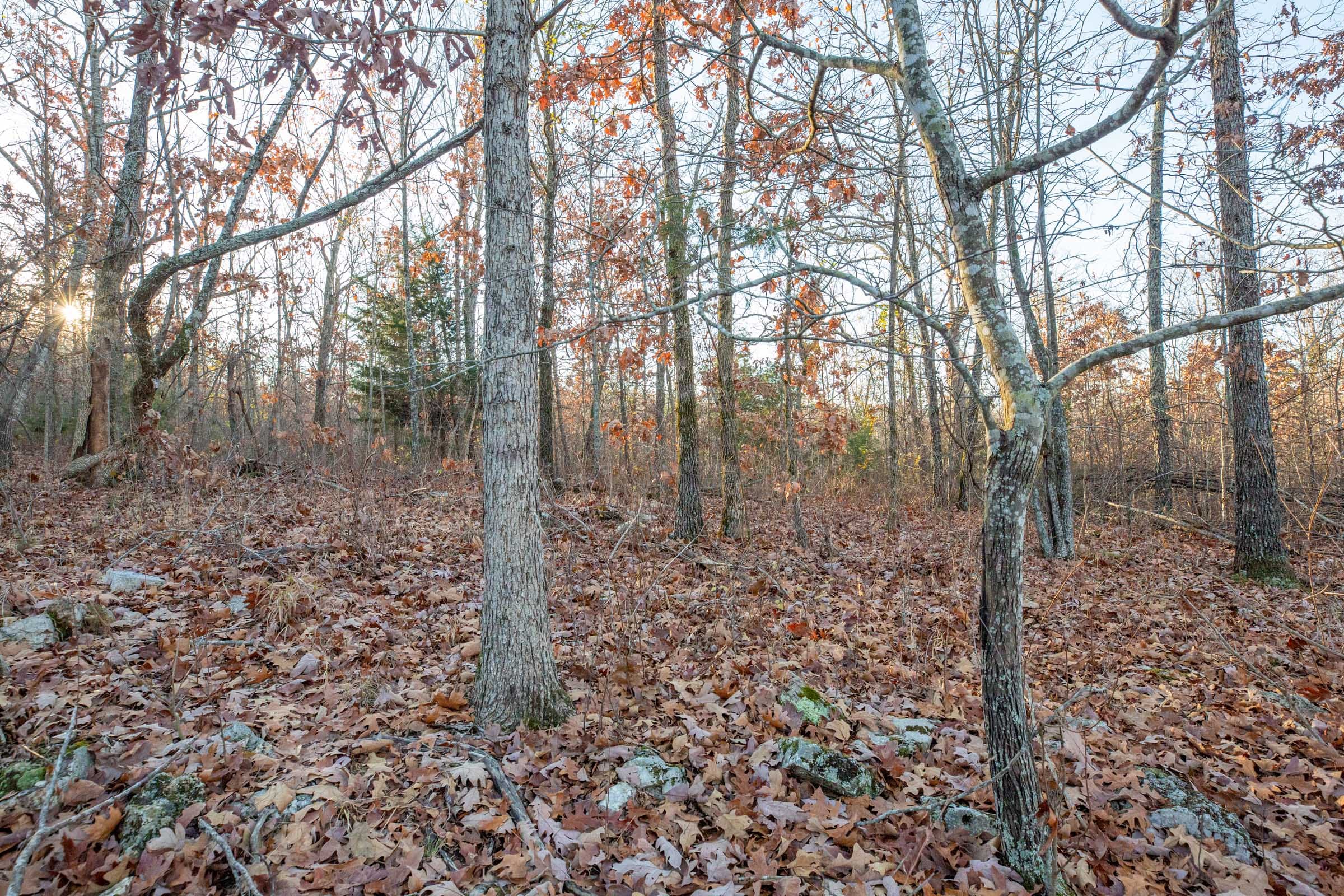 Dutchman Hollow Tract 4 photo 3
