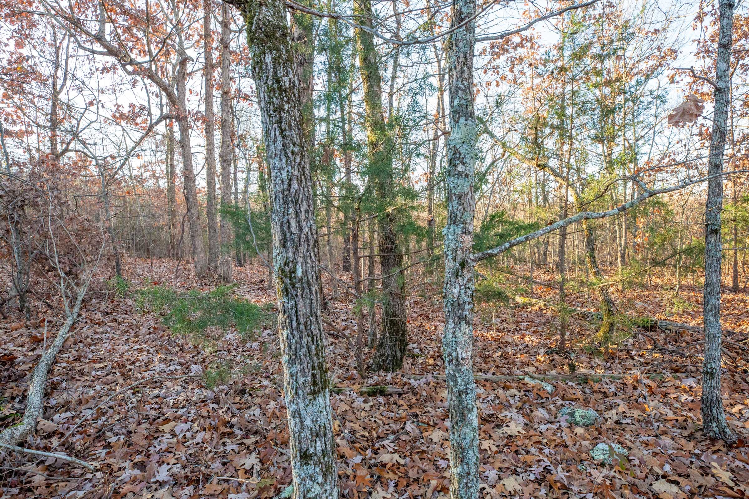 Dutchman Hollow Tract 4 photo 8