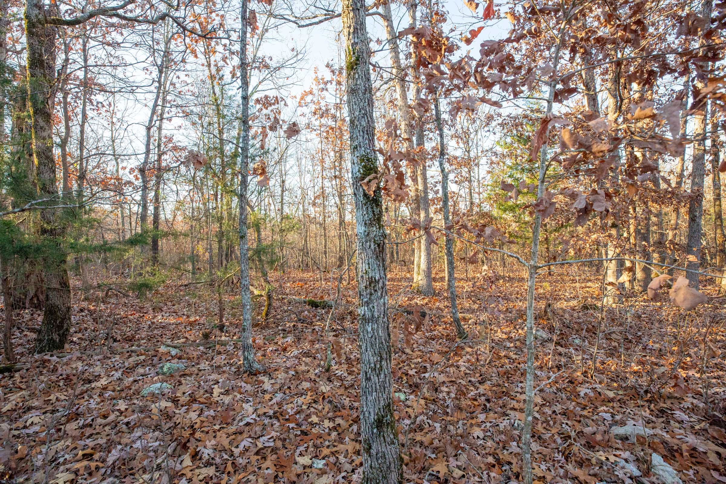 Dutchman Hollow Tract 4 photo 7