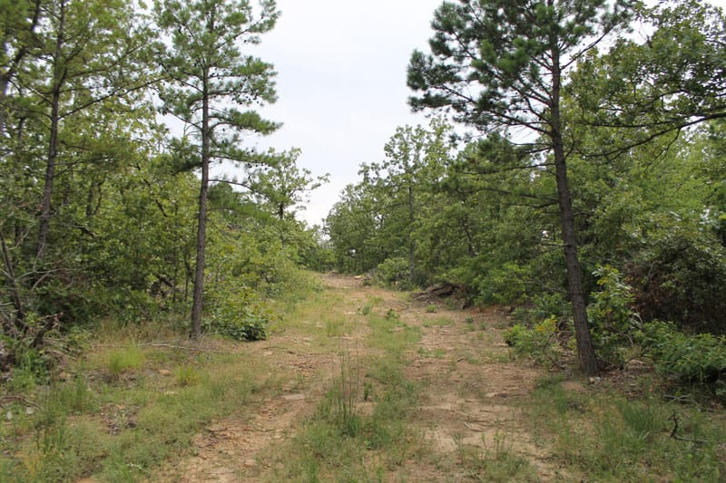 Trophy Ridge Phase III Tract 18 photo 1
