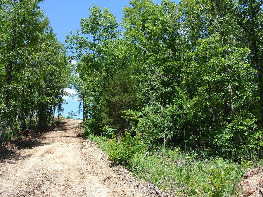 Antler Ridge Tract 6 photo 2