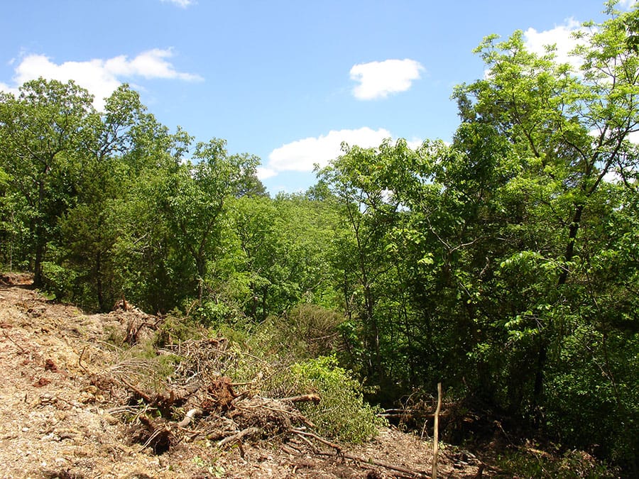Antler Ridge Tract 6 photo 4