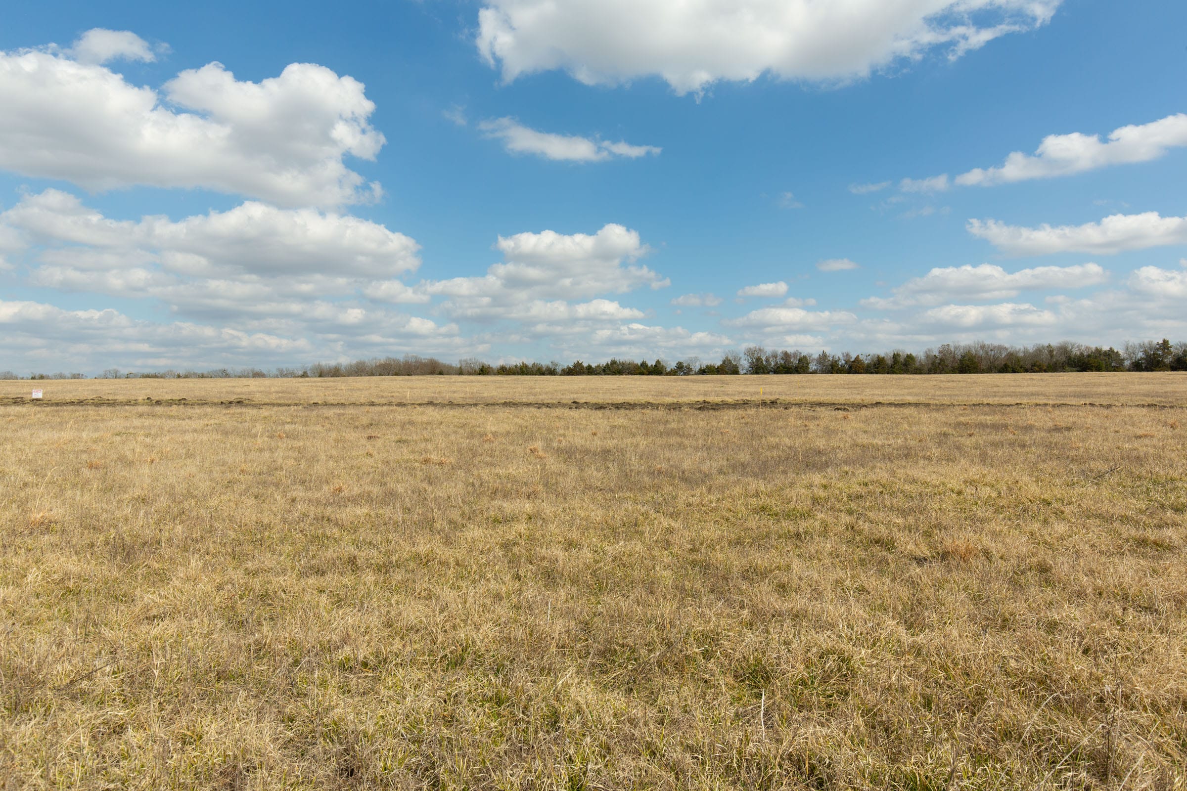 Wishing Star Ranch Tract 94 photo 3