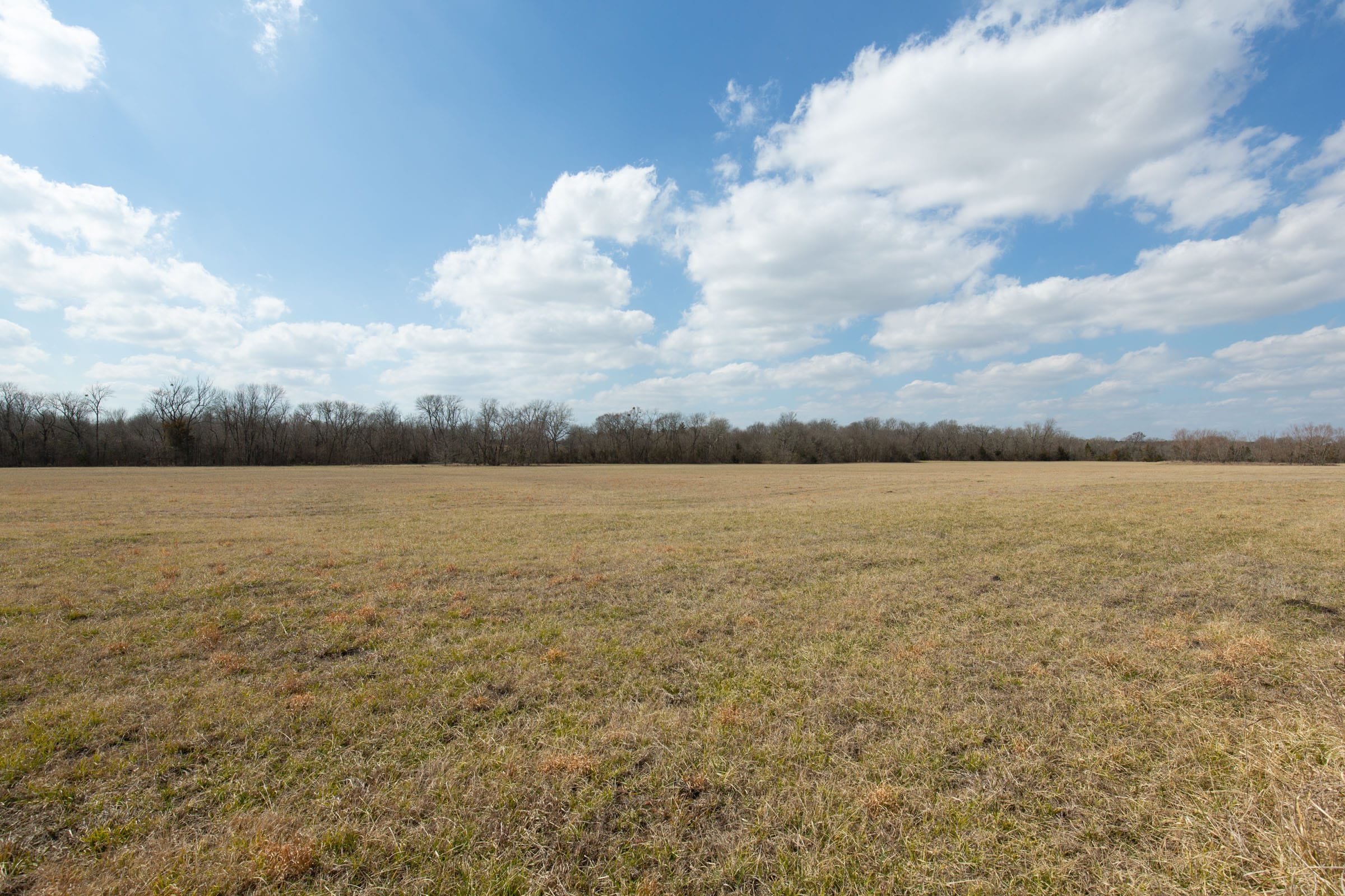 Wishing Star Ranch Tract 94 photo 5