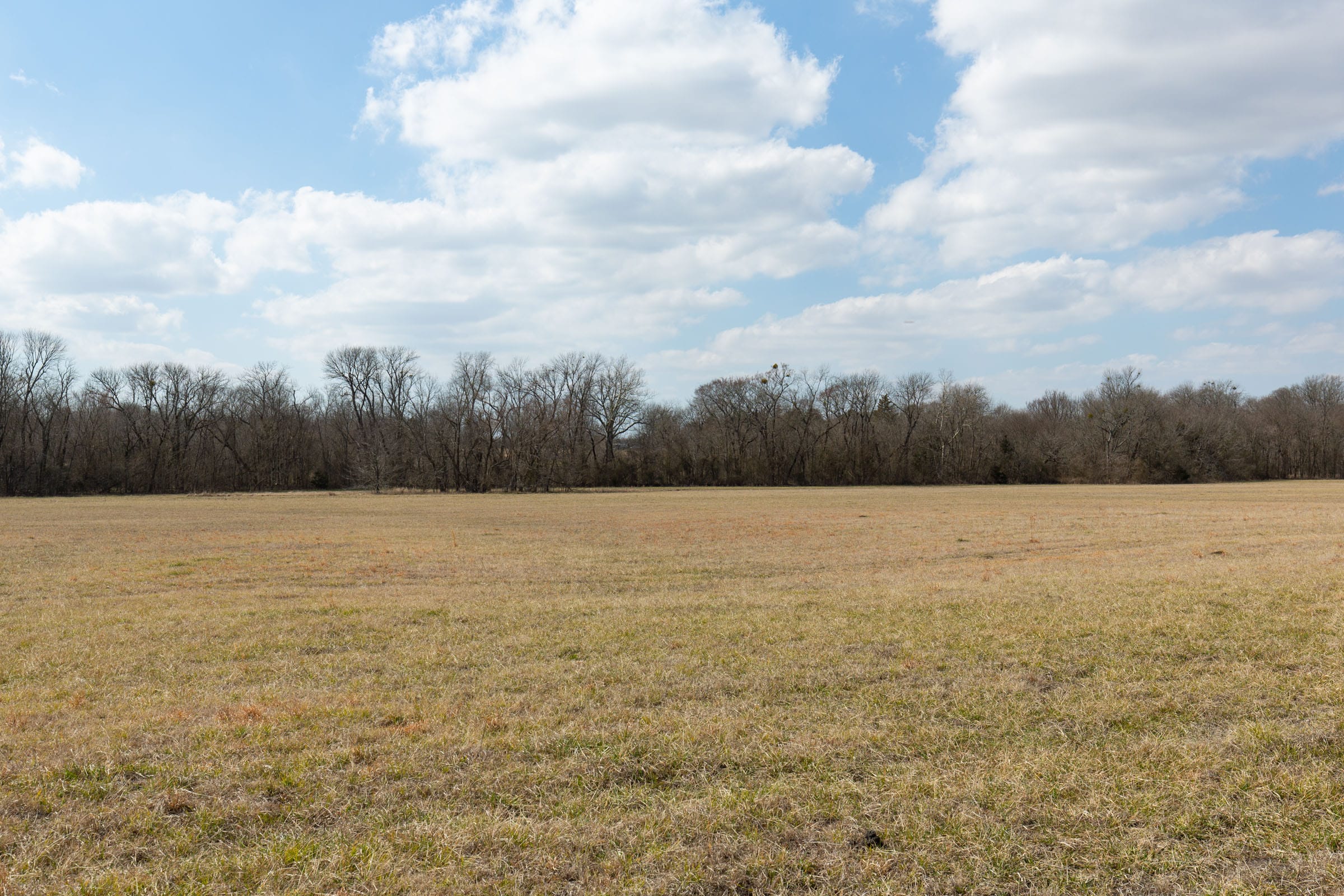 Wishing Star Ranch Tract 94 photo 9