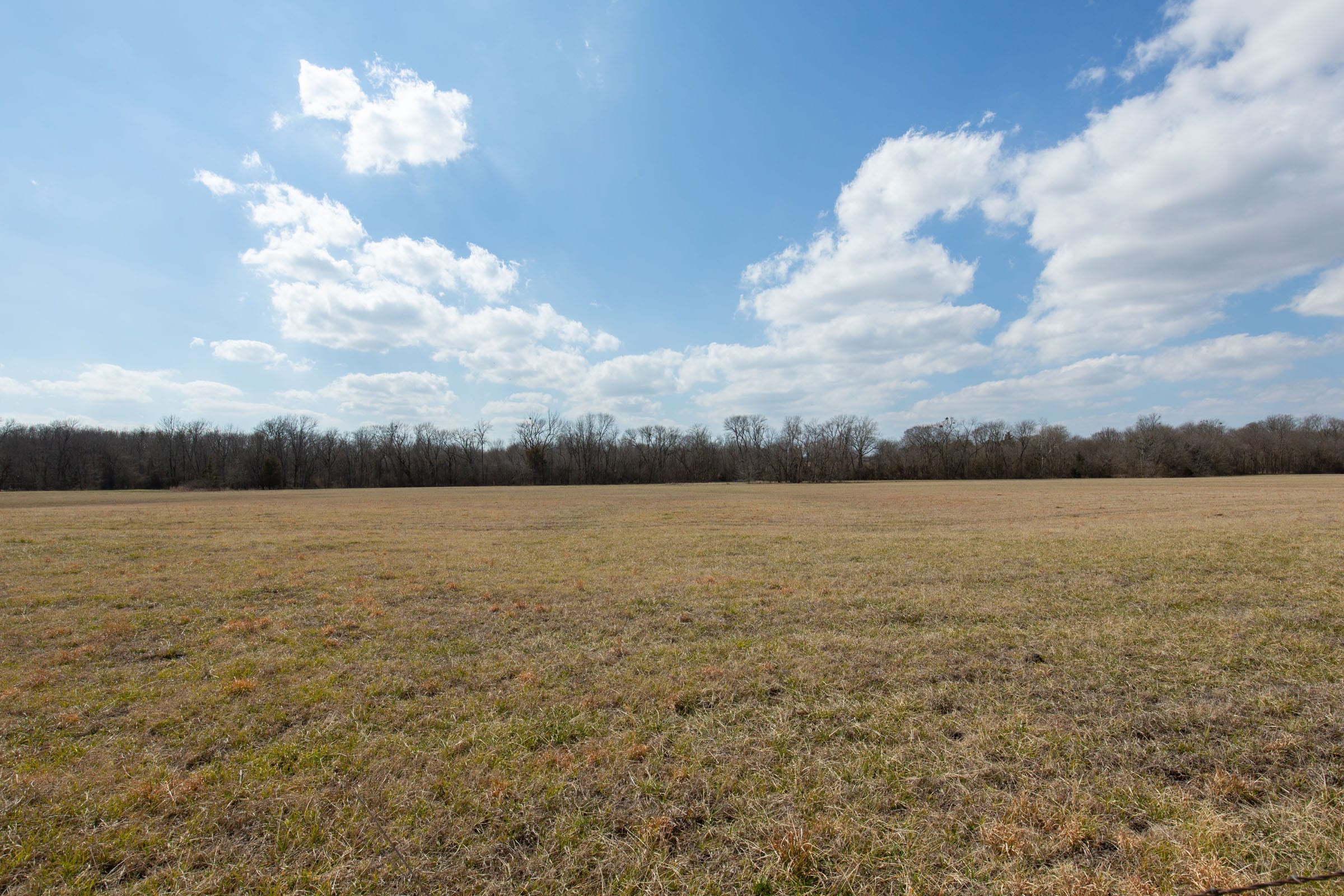 Wishing Star Ranch Tract 94 photo 10