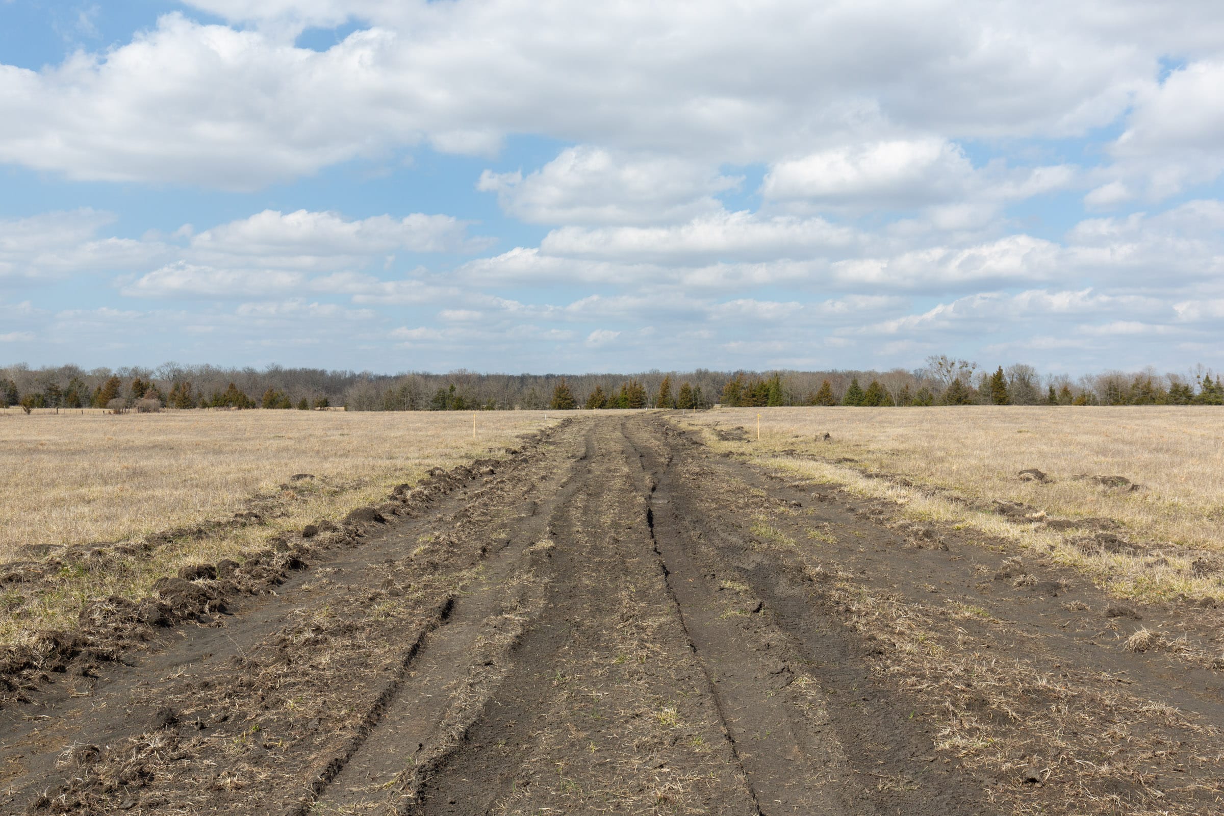 Wishing Star Ranch Tract 94 photo 1