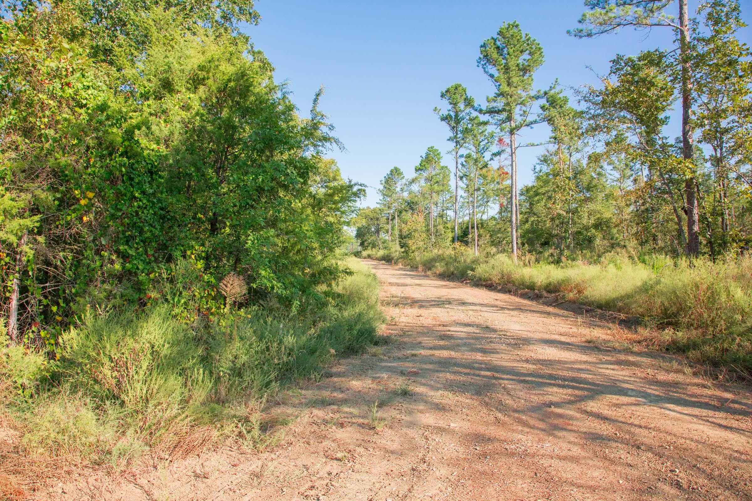 Stone Creek Phase II Tract 273 photo 2