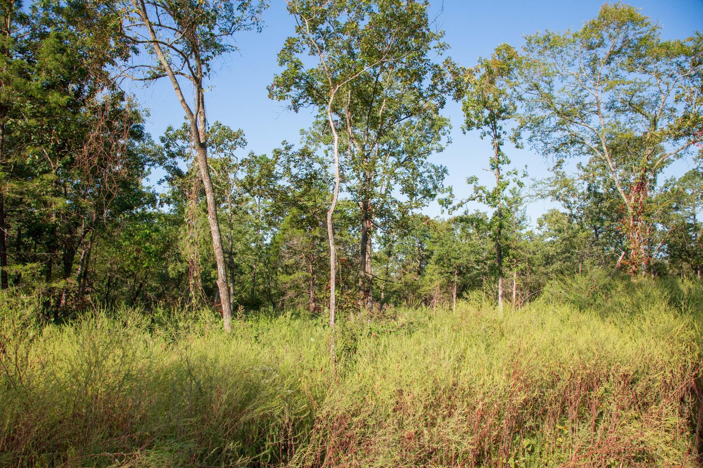 Stone Creek Phase II Tract 273 photo 4