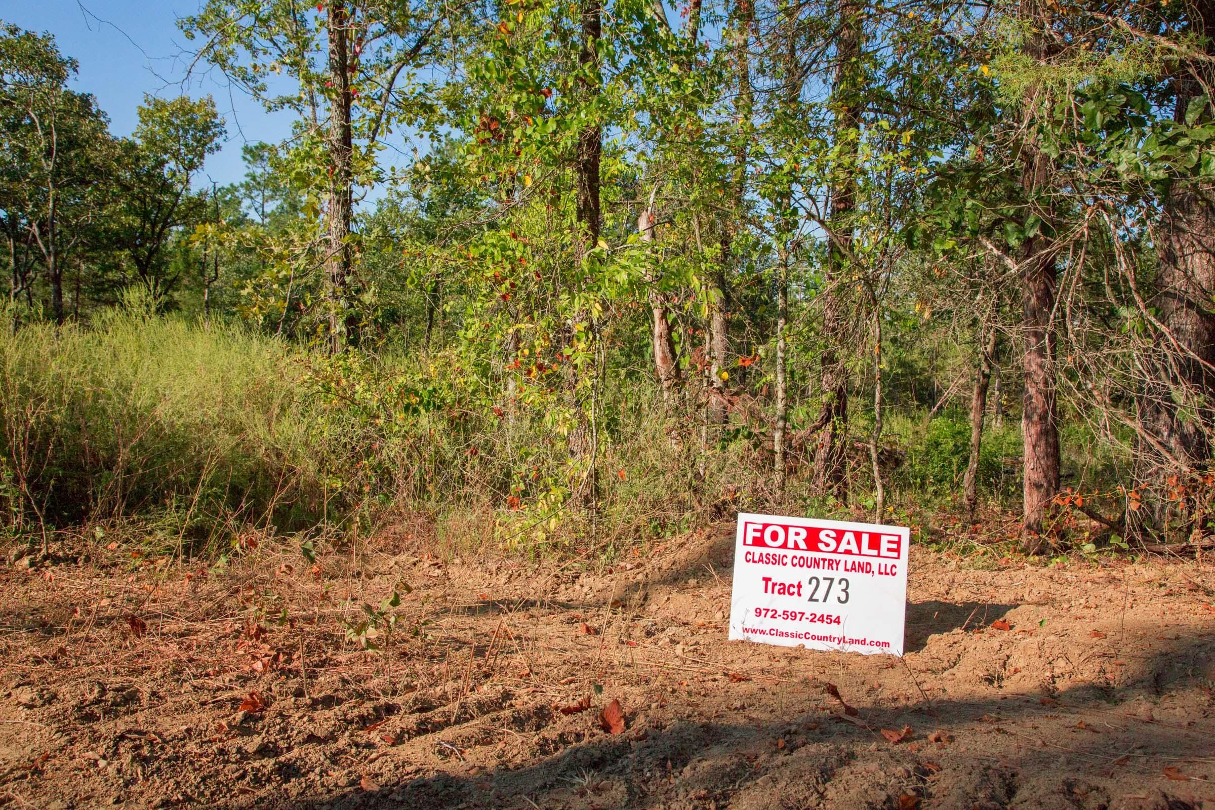 Stone Creek Phase II Tract 273 photo 1