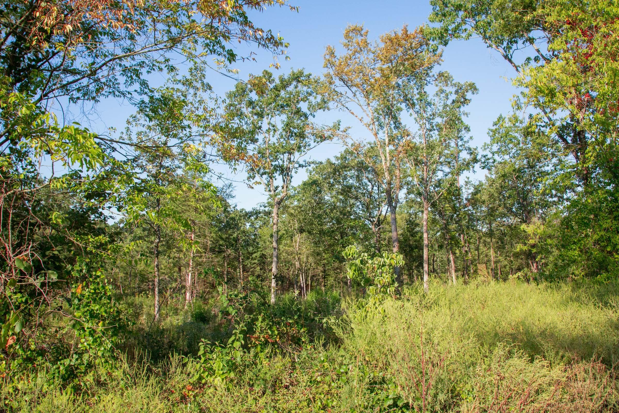 Stone Creek Phase II Tract 273 photo 6
